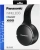 Гарнитура накладные Panasonic RB-HF420BGEK черный беспроводные bluetooth оголовье - купить недорого с доставкой в интернет-магазине