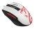 Мышь A4Tech Bloody L65 Max белый/рисунок оптическая 12000dpi USB 6but (L65 MAX NARAKA) - купить недорого с доставкой в интернет-магазине