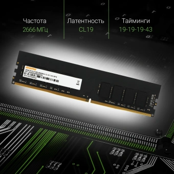 Память DDR4 16GB 2666MHz Digma DGMAD42666016D RTL PC4-21300 CL19 DIMM 288-pin 1.2В dual rank Ret - купить недорого с доставкой в интернет-магазине