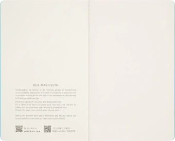 Блокнот Moleskine LIMITED EDITION CAHIER MUSEE D`ORSAY SKCAHL6911S3NL Large 130х210мм обложка картон 120стр. нелинованный мягкая обложка синий/коричневый (2шт) - купить недорого с доставкой в интернет-магазине