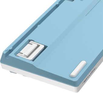 Клавиатура A4Tech Fstyler FS300 механическая белый/синий USB for gamer LED (FS300 PANDA SNOWBOARDING) - цена, купить или заказать с доставкой в интернет-магазине Клавиатура A4Tech Fstyler FS300 механическая белый/синий USB for gamer LED (FS300 PANDA SNOWBOARDING) - купить недорого с доставкой в интернет-магазине