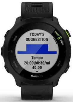 Смарт-часы Garmin Forerunner 55 42мм 1.04" LCD корп.черный рем.черный разм.брасл.:127-220мм (010-02562-10) - купить недорого с доставкой в интернет-магазине