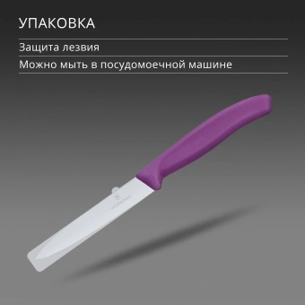 Нож кухонный Victorinox Swiss Classic (6.7705.C1) для овощей лезв.100мм прямая заточка пурпурный - купить недорого с доставкой в интернет-магазине