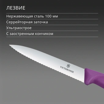 Нож кухонный Victorinox Swiss Classic (6.7735.C1) стальной универсальный для чистки овощей и фруктов лезв.100мм серрейт. заточка пурпурный - купить недорого с доставкой в интернет-магазине