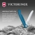 Нож кухонный Victorinox Swiss Classic 6.7832.FC1 стальной столовый лезв.110мм серрейт. заточка синий карт.коробка - цена, купить или заказать с доставкой в интернет-магазине Нож кухонный Victorinox Swiss Classic 6.7832.FC1 стальной столовый лезв.110мм серрейт. заточка синий карт.коробка - купить недорого с доставкой в интернет-магазине