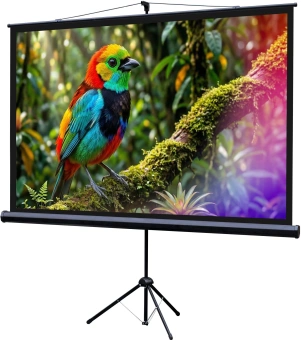 Экран Lumien 88" 115x200см Eco Picture LEV-100114 16:9 напольный натяжной белый - купить недорого с доставкой в интернет-магазине