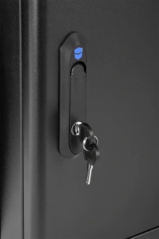 Шкаф коммутационный ЦМО (ШРН-М-12.650-9005) настенный 12U 600x650мм пер.дв.стекл 120кг черный 581мм 25.1кг 180град. 610мм - купить недорого с доставкой в интернет-магазине