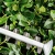 Кусторез Bosch UniversalHedgeCut 50 (06008C0501) - цена, купить или заказать с доставкой в интернет-магазине Кусторез Bosch UniversalHedgeCut 50 (06008C0501) - купить недорого с доставкой в интернет-магазине