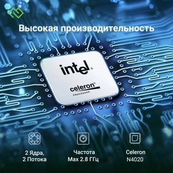 Ноутбук Digma EVE C4800 Celeron N4020 8Gb SSD256Gb Intel UHD Graphics 600 14" IPS FHD (1920x1080) Windows 11 Professional dk.grey WiFi BT Cam 4800mAh (DN14CN-8CXW01) - купить недорого с доставкой в интернет-магазине
