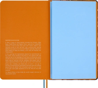 Блокнот Moleskine LIMITED EDITION MUSEE D`ORSAY SKBOXL6911S1NL Large 130х210мм обложка текстиль 176стр. линейка подар.кор. синий - купить недорого с доставкой в интернет-магазине