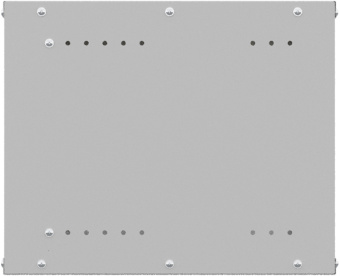 Шкаф коммутационный NTSS Lime (NTSS-WL9U5560GS) настенный 9U 550x600мм пер.дв.стекл несъемн.бок.пан. 30кг серый 520мм 15.6кг 110град. 500мм IP20 сталь - купить недорого с доставкой в интернет-магазине