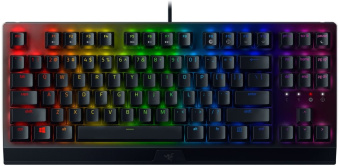 Клавиатура Razer BlackWidow V3 TKL механическая черный/черный USB Multimedia for gamer LED (RZ03-03490700-R3R1) - купить недорого с доставкой в интернет-магазине