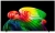 Телевизор OLED LG 65" OLED65B6RLA.ARUG коричневый/серый 4K Ultra HD 120Hz DVB-T2 DVB-C DVB-S2 USB WiFi Smart TV - цена, купить или заказать с доставкой в интернет-магазине Телевизор OLED LG 65" OLED65B6RLA.ARUG коричневый/серый 4K Ultra HD 120Hz DVB-T2 DVB-C DVB-S2 USB WiFi Smart TV - купить недорого с доставкой в интернет-магазине