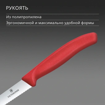 Нож кухонный Victorinox Swiss Classic 6.7731.C1 стальной универсальный для овощей лезв.100мм серрейт. заточка красный - купить недорого с доставкой в интернет-магазине