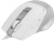 Мышь A4Tech Fstyler FM45S Air белый/серебристый оптическая 2400dpi silent USB 7but (FM45S AIR USB (SILVER WHITE)) - цена, купить или заказать с доставкой в интернет-магазине Мышь A4Tech Fstyler FM45S Air белый/серебристый оптическая 2400dpi silent USB 7but (FM45S AIR USB (SILVER WHITE)) - купить недорого с доставкой в интернет-магазине