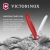 Нож кухонный Victorinox Swiss Classic 6.7831.FC1 стальной столовый лезв.110мм серрейт. заточка красный карт.коробка - купить недорого с доставкой в интернет-магазине