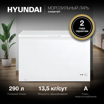 Морозильный ларь Hyundai CH3091WT белый - купить недорого с доставкой в интернет-магазине