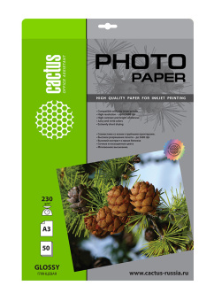 Фотобумага Cactus CS-GA323050 A3/230г/м2/50л./белый глянцевое для струйной печати - купить недорого с доставкой в интернет-магазине