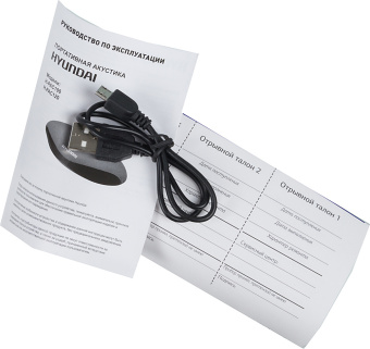 Колонка порт. Hyundai H-PAC100 черный 3W 1.0 BT/3.5Jack/USB - купить недорого с доставкой в интернет-магазине