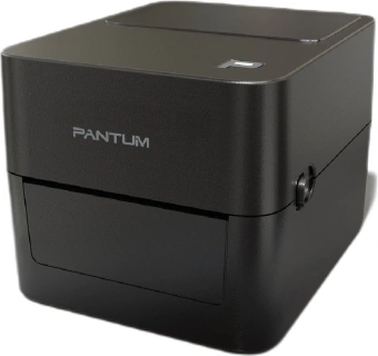 Термопринтер Pantum PT-D160N (для печ.накл.) стационарный черный - купить недорого с доставкой в интернет-магазине