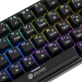 Клавиатура Оклик K713X механическая черный USB Multimedia for gamer LED - цена, купить или заказать с доставкой в интернет-магазине Клавиатура Оклик K713X механическая черный USB Multimedia for gamer LED - купить недорого с доставкой в интернет-магазине