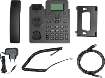 Телефон IP Флат Flat-Phone-C10/RU    черный - купить недорого с доставкой в интернет-магазине