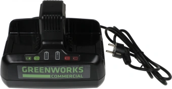 Зарядное устройство Greenworks G82C2 (2939007) - купить недорого с доставкой в интернет-магазине