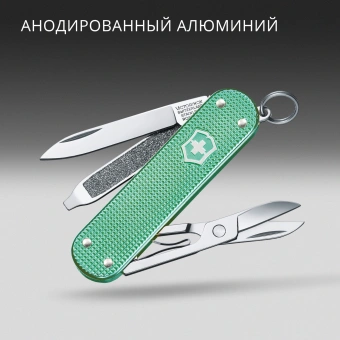 Нож перочинный Victorinox Classic SD Alox Minty Mint (0.6221.221G) 58мм 5функц. подар.коробка - купить недорого с доставкой в интернет-магазине