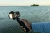 Экшн-камера GoPro Hero13 Creator Edition 1xCMOS 27.6Mpix черный - купить недорого с доставкой в интернет-магазине