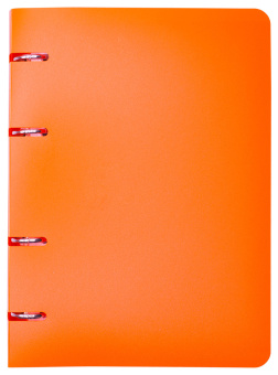 Тетрадь на кольцах Silwerhof 80л. клет. A5 пластик кольца оранжевый - купить недорого с доставкой в интернет-магазине