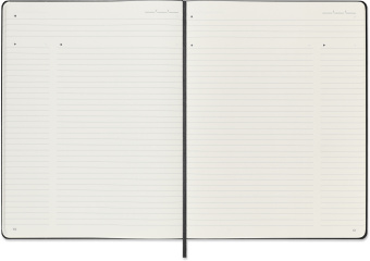 Блокнот Moleskine PROFESSIONAL PROPFNTB4HBK XLarge 190х250мм 192стр. твердая обложка черный - купить недорого с доставкой в интернет-магазине