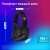 Наушники с микрофоном Оклик HS-L380G ABADDON черный/красный 1.8м мониторные оголовье (1100404) - цена, купить или заказать с доставкой в интернет-магазине Наушники с микрофоном Оклик HS-L380G ABADDON черный/красный 1.8м мониторные оголовье (1100404) - купить недорого с доставкой в интернет-магазине