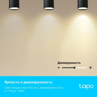 Умная лампа TP-Link Tapo L630 GU10 3.7Вт 350lm Wi-Fi (упак.:1шт) - купить недорого с доставкой в интернет-магазине