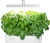 Кашпо Cactus Garden CS-LEDPOT-10 2.0л белый - купить недорого с доставкой в интернет-магазине