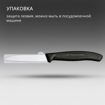 Нож кухонный Victorinox Swiss Classic (6.7403) стальной для овощей лезв.80мм прямая заточка черный - купить недорого с доставкой в интернет-магазине