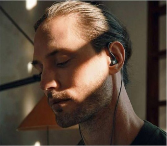 Наушники вкладыши Sennheiser IE 300 1.25м черный проводные крепление за ухом (509104) - купить недорого с доставкой в интернет-магазине