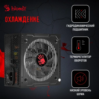 Блок питания Bloody ATX 750W BD-PS750G 80+ gold (20+4pin) APFC 120mm fan color LED 6xSATA Cab Manag RTL - купить недорого с доставкой в интернет-магазине