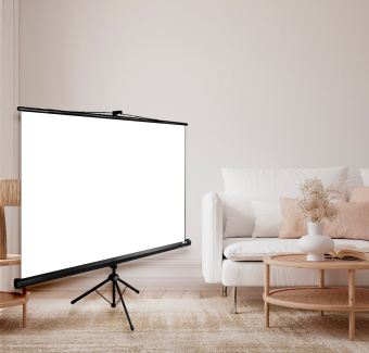 Экран Cactus 100" 124.5x221см Triscreen CS-PST-124x221 16:9 напольный рулонный черный - купить недорого с доставкой в интернет-магазине