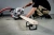 Торцовочная пила Metabo KGS 254 M set 1450Вт 5000об/мин d=254мм - цена, купить или заказать с доставкой в интернет-магазине Торцовочная пила Metabo KGS 254 M set 1450Вт 5000об/мин d=254мм - купить недорого с доставкой в интернет-магазине