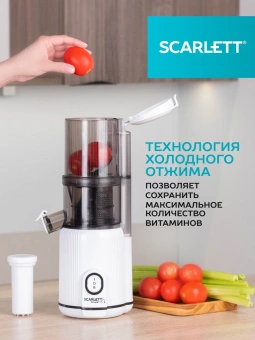 Соковыжималка шнековая Scarlett SC-JE50S63 400Вт рез.сок.:600мл. белый - купить недорого с доставкой в интернет-магазине