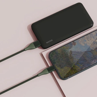 Кабель ZMI DW3 DW3 GREEN RUS USB Type-C (m)-USB Type-C (m) 1м зеленый Bulk (упак.:1шт) - купить недорого с доставкой в интернет-магазине