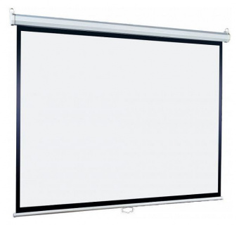 Экран Lumien 220x220см Eco Picture LEP-100110 1:1 настенно-потолочный рулонный - купить недорого с доставкой в интернет-магазине