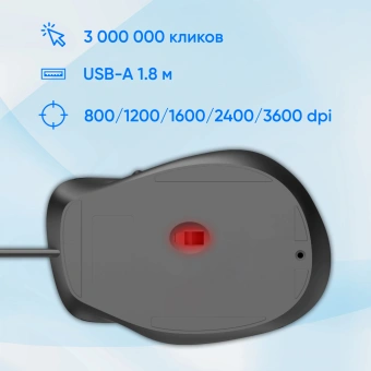 Мышь Оклик 504M черный/серый оптическая 3600dpi silent USB 6but (2004741) - купить недорого с доставкой в интернет-магазине