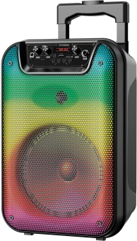 Минисистема Hyundai H-MC1292 черный 18Вт FM USB BT micro SD - купить недорого с доставкой в интернет-магазине
