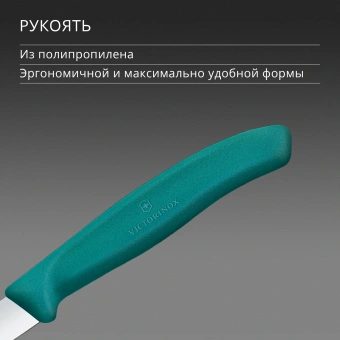 Нож кухонный Victorinox Swiss Classic 6.7604.C1 для чистки овощей и фруктов лезв.80мм прямая заточка зеленый - купить недорого с доставкой в интернет-магазине
