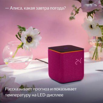 Умная колонка Yandex Станция Миди YNDX-00054PNK Алиса малиновый 24W 1.0 BT/Wi-Fi 10м - купить недорого с доставкой в интернет-магазине