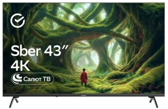 Телевизор LED Sber 43" SDX-43U5500DBA Салют ТВ Frameless черный 4K Ultra HD 60Hz DVB-T DVB-T2 DVB-C DVB-S DVB-S2 USB WiFi Smart TV (RUS) - купить недорого с доставкой в интернет-магазине