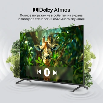 Телевизор QLED Digma 55" DM-LED55UQB31 Google TV Frameless Metal черный/черный 4K Ultra HD 60Hz MEMC DVB-T DVB-T2 DVB-C DVB-S DVB-S2 USB WiFi Smart TV - купить недорого с доставкой в интернет-магазине