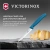 Нож кухонный Victorinox Swiss Classic (6.7702.C1) для овощей лезв.100мм прямая заточка синий - купить недорого с доставкой в интернет-магазине