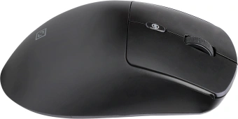 Мышь Оклик 489MW черный оптическая 3200dpi silent беспров. BT/Radio USB 6but (1885440) - купить недорого с доставкой в интернет-магазине
